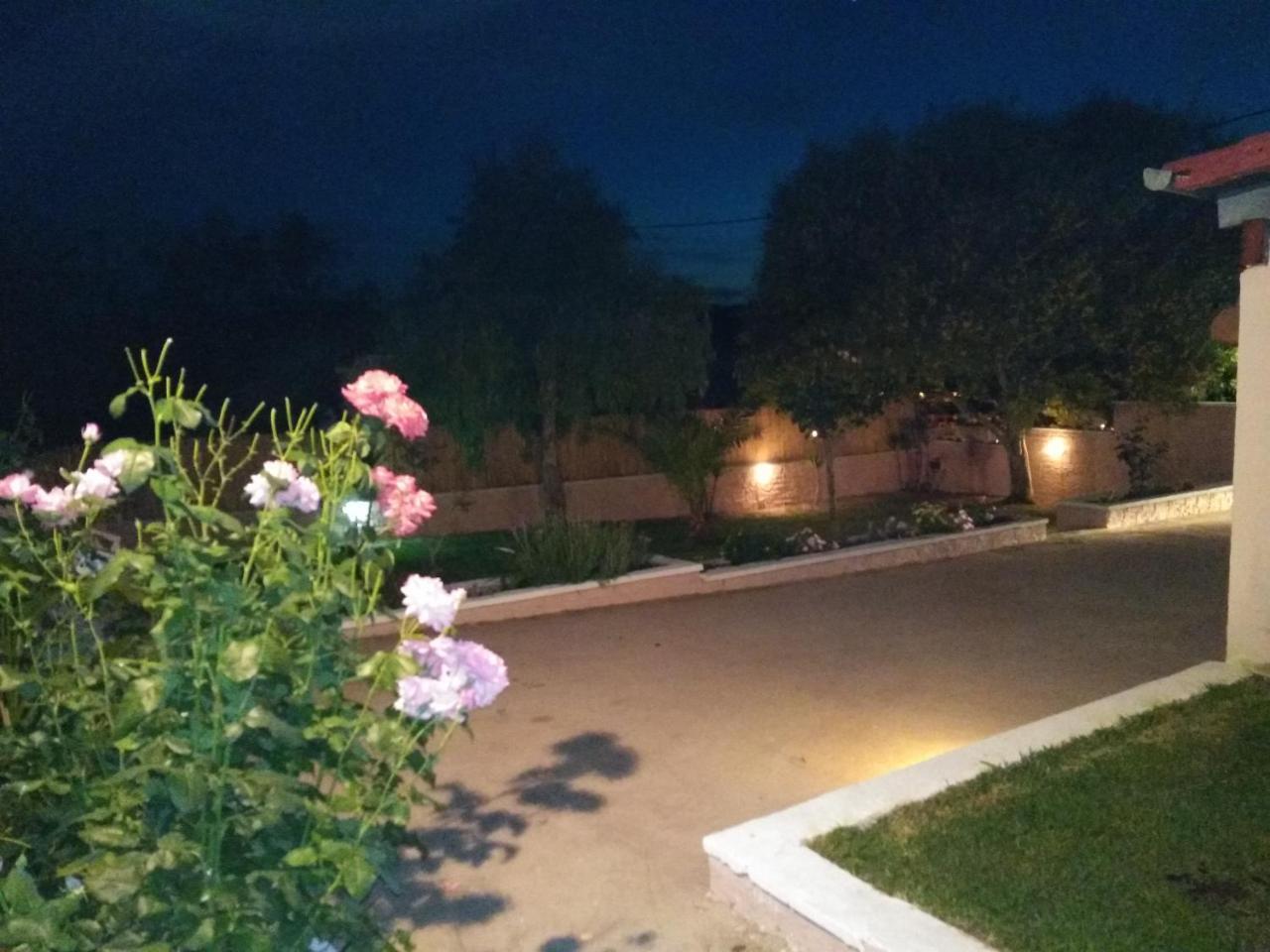 Villa Thanos Marathias  Exterior photo