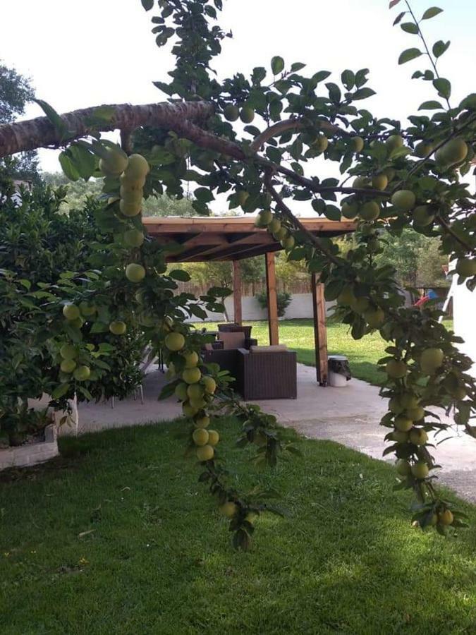 Villa Thanos Marathias  Exterior photo
